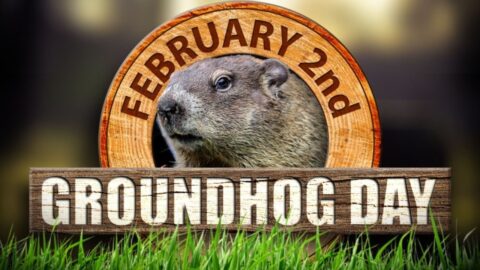 All About Groundhog Day! | Reimagine